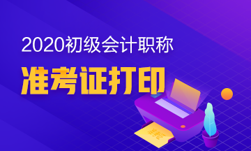 2020年新疆兵团初级会计准考证的打印时间公布了么？